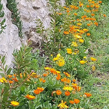 Borgo Del Sole *